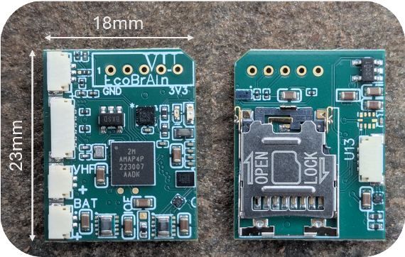 The A3EM animal-borne acoustic sensor board